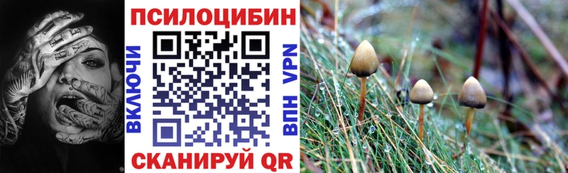 ссылка на мегу как зайти  Шебекино  Галлюциногенные грибы GOLDEN TEACHER 